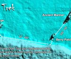 Wreck Trek Deerfield